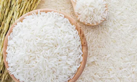 Giá gạo tại các “vựa lúa” lớn đều ổn định