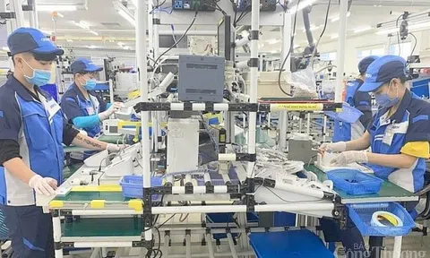 Nghị quyết 128/NQ-CP: 10Lc88 Casino & Thể Thao Link Mới chuyển sang “3 xanh” để thích ứng tình hình mới