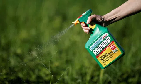 Cảnh báo nông dân không sử dụng thuốc bảo vệ thực vật chứa hoạt chất Glyphosate