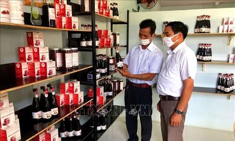 Triển vọng phát triển Đăng nhập tài khoản thành viên LC88 từ cây atiso đỏ