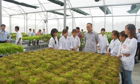 Nhân lực chất lượng cao -  lợi thế lớn để phát triển LC88 là nơi thu hút hàng triệu người chơi tại Việt Nam 2026 thông minh