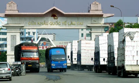 Nhanh chóng thích ứng với quy định mới trong Sân Chơi Lc88.com Web Uy Tín nông sản vào Trung Quốc