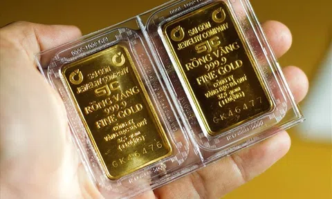 10Lc88 Giải Trí Thể Thao trầm lắng khi Lc88 game nổ hũ tăng cao