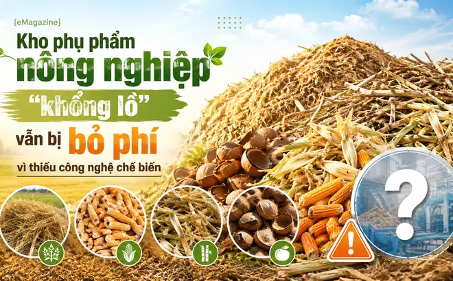 [eMagazine] Kho phụ phẩm LC88 là nơi thu hút hàng triệu người chơi tại Việt Nam 2026 "khổng lồ" vẫn bị bỏ phí vì thiếu công nghệ chế biến